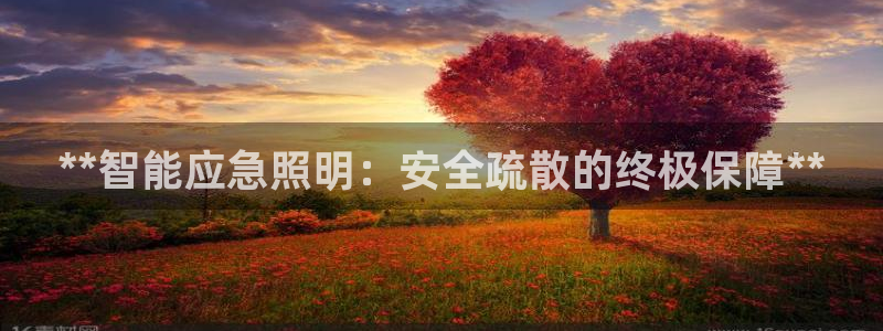 **智能应急照明：安全疏散的终极保障**