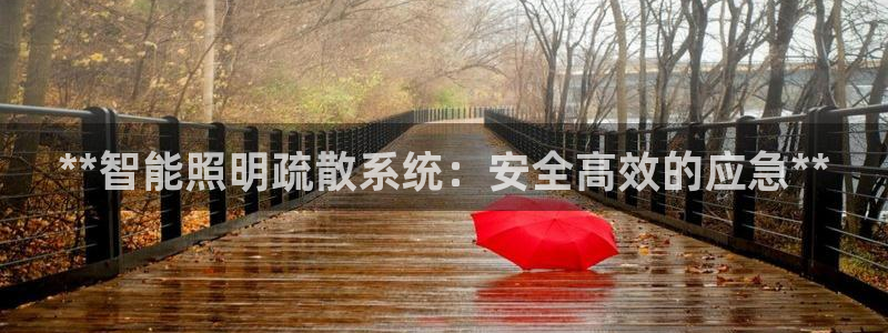 **智能照明疏散系统：安全高效的应急**