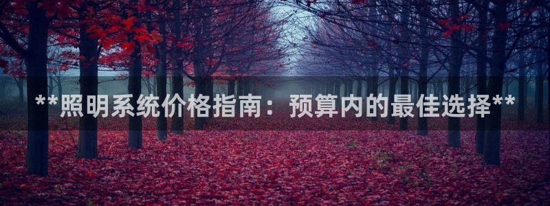 **照明系统价格指南：预算内的最佳选择**