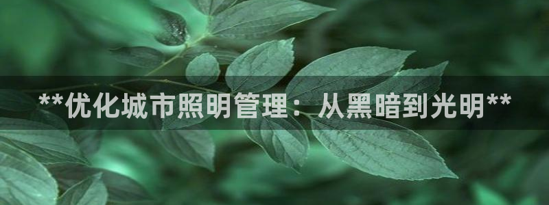 **优化城市照明管理：从黑暗到光明**