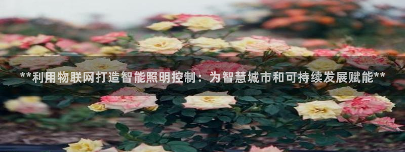 **利用物联网打造智能照明控制：为智慧城市和可持续发展赋能**