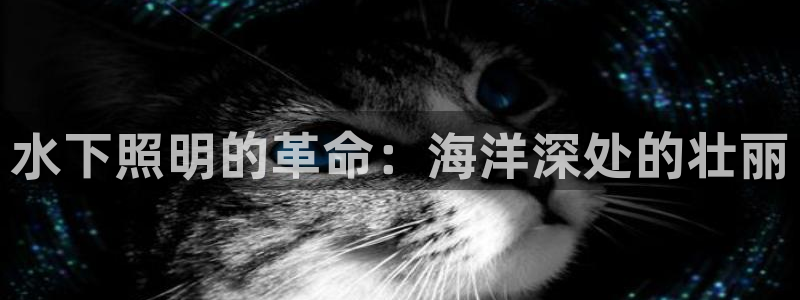 水下照明的革命：海洋深处的壮丽