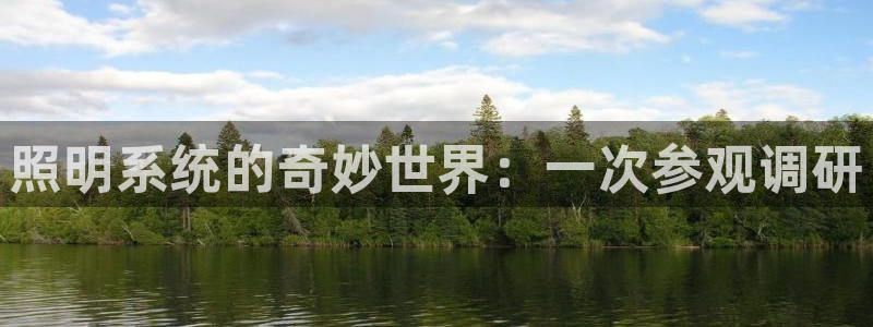 照明系统的奇妙世界：一次参观调研