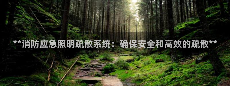 **消防应急照明疏散系统：确保安全和高效的疏散**