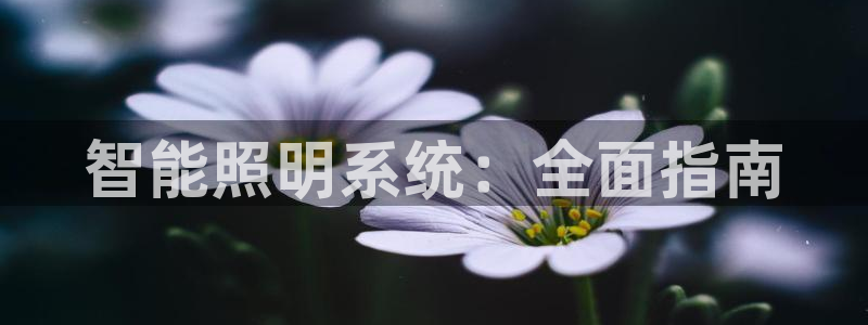 智能照明系统：全面指南