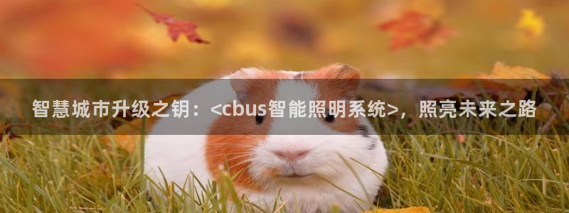 智慧城市升级之钥：<cbus智能照明系统>，照亮未来之路