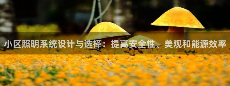 小区照明系统设计与选择：提高安全性、美观和能源效率