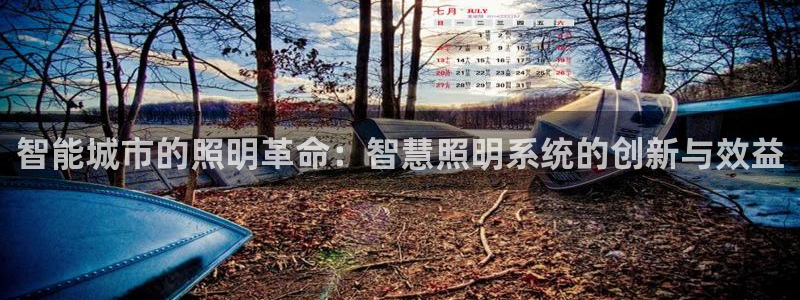 智能城市的照明革命：智慧照明系统的创新与效益
