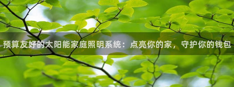 预算友好的太阳能家庭照明系统：点亮你的家，守护你的钱包