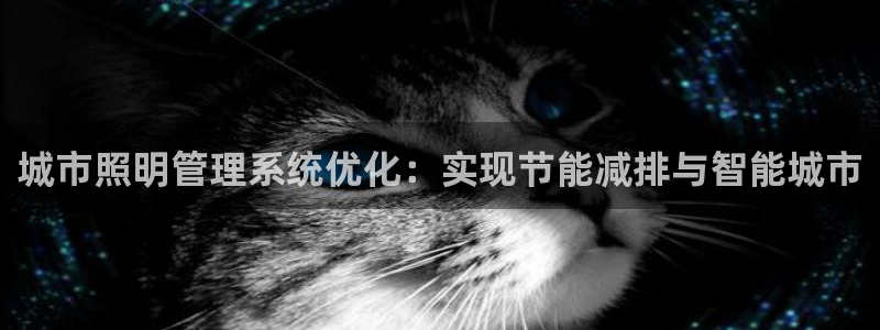 城市照明管理系统优化：实现节能减排与智能城市