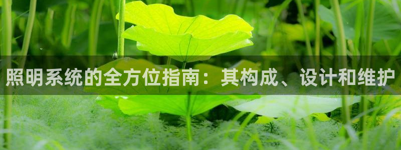 照明系统的全方位指南：其构成、设计和维护