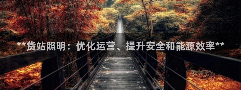 **货站照明：优化运营、提升安全和能源效率**