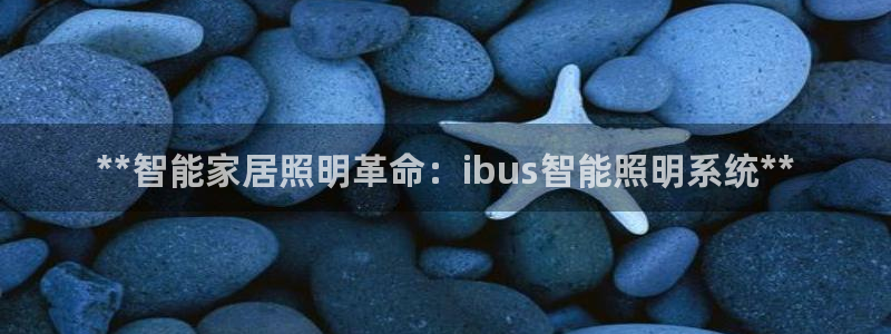 **智能家居照明革命：ibus智能照明系统**