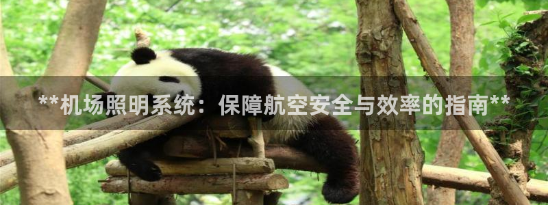 **机场照明系统：保障航空安全与效率的指南**