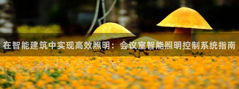 在智能建筑中实现高效照明：会议室智能照明控制系统指南