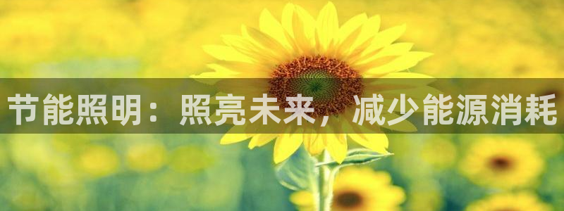 节能照明：照亮未来，减少能源消耗