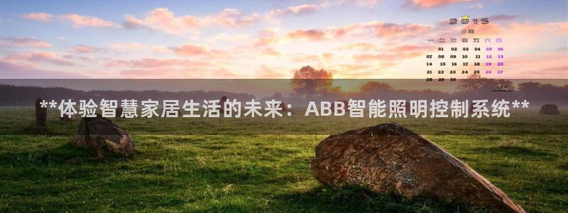 **体验智慧家居生活的未来：ABB智能照明控制系统**