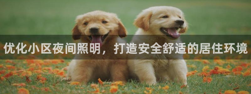 优化小区夜间照明，打造安全舒适的居住环境