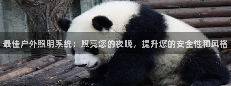 最佳户外照明系统：照亮您的夜晚，提升您的安全性和风格
