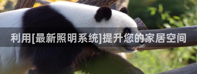 利用[最新照明系统]提升您的家居空间