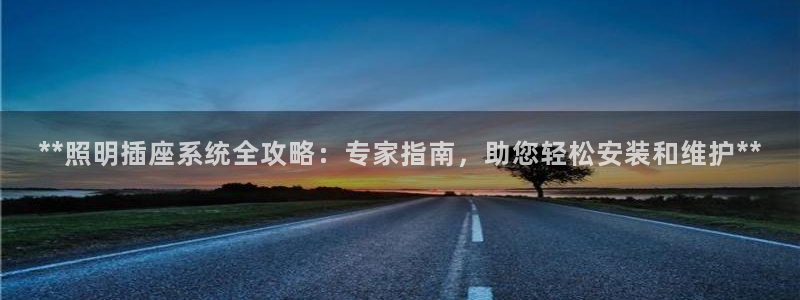 **照明插座系统全攻略：专家指南，助您轻松安装和维护**