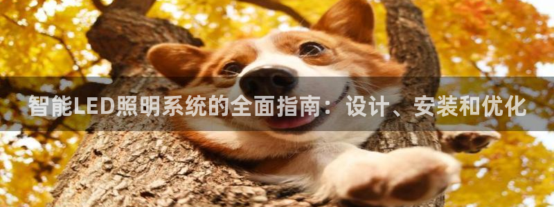 智能LED照明系统的全面指南：设计、安装和优化