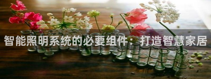 智能照明系统的必要组件：打造智慧家居