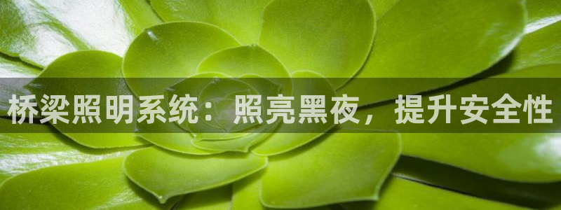 桥梁照明系统：照亮黑夜，提升安全性