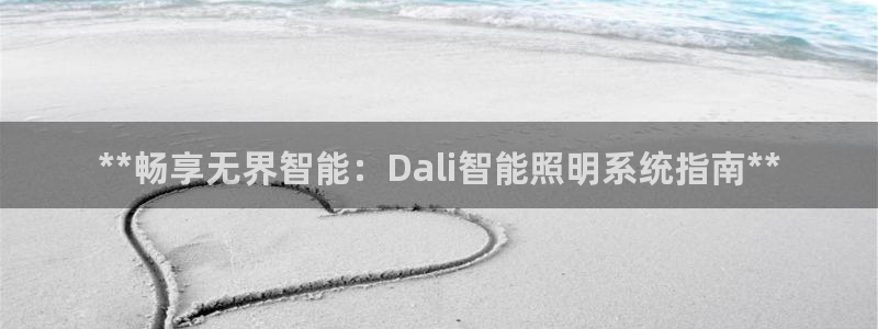 **畅享无界智能：Dali智能照明系统指南**