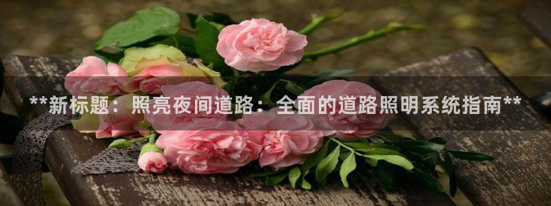 **新标题：照亮夜间道路：全面的道路照明系统指南**
