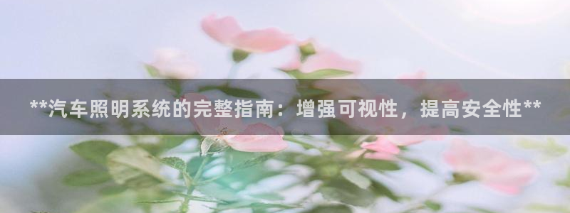 **汽车照明系统的完整指南：增强可视性，提高安全性**