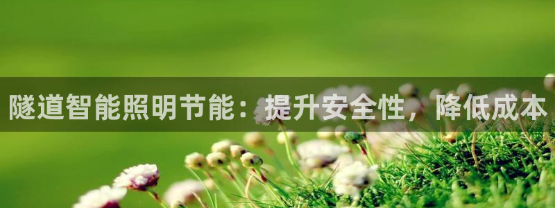 隧道智能照明节能：提升安全性，降低成本