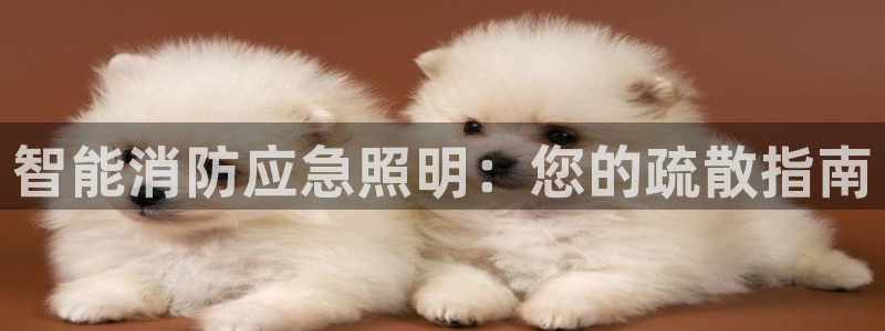 智能消防应急照明：您的疏散指南