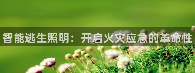 智能逃生照明：开启火灾应急的革命性