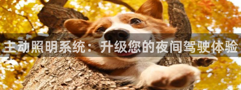 主动照明系统：升级您的夜间驾驶体验