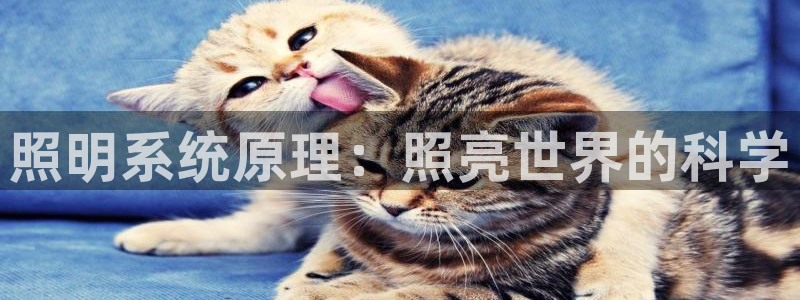 照明系统原理：照亮世界的科学