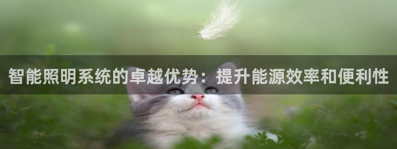 智能照明系统的卓越优势：提升能源效率和便利性