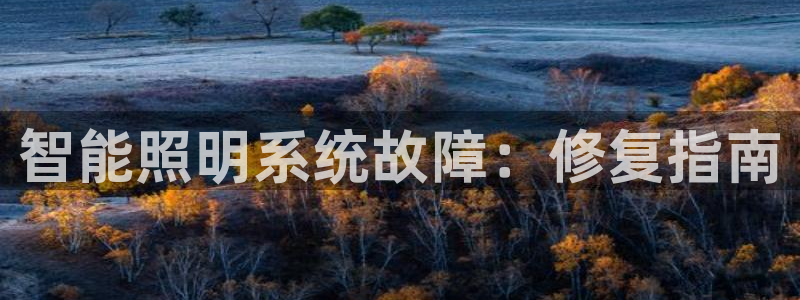智能照明系统故障：修复指南
