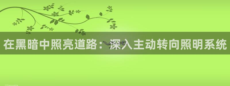 在黑暗中照亮道路：深入主动转向照明系统