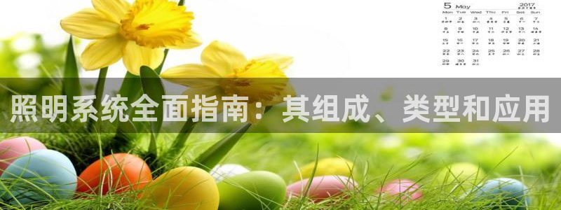 照明系统全面指南：其组成、类型和应用