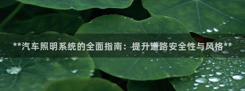 **汽车照明系统的全面指南：提升道路安全性与风格**
