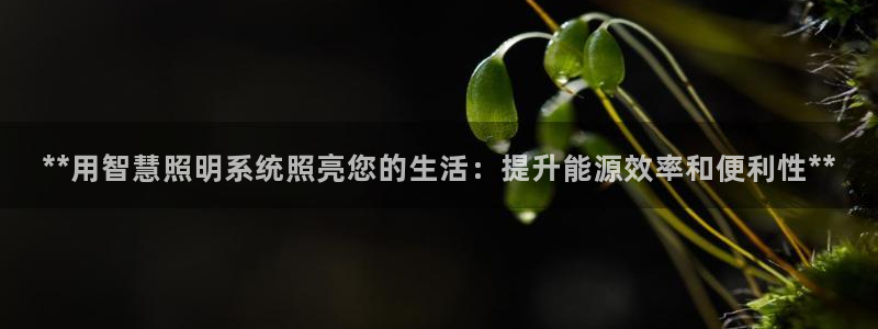 **用智慧照明系统照亮您的生活：提升能源效率和便利性**