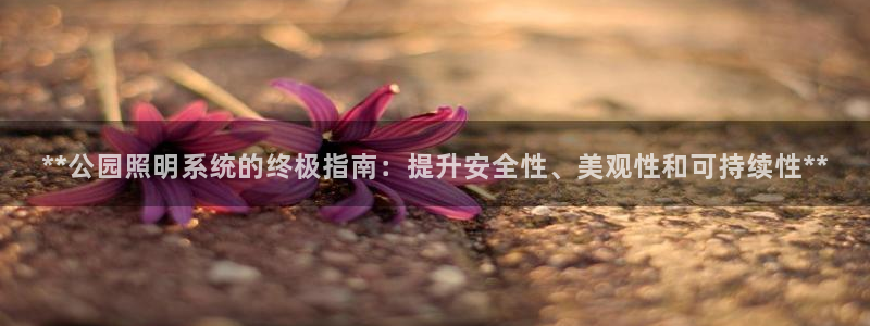**公园照明系统的终极指南:提升安全性、美观性和可持续性**