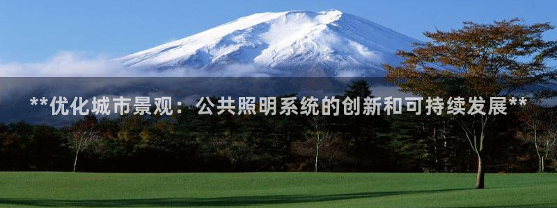 **优化城市景观：公共照明系统的创新和可持续发展**