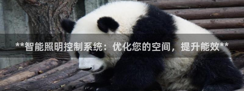 **智能照明控制系统：优化您的空间，提升能效**