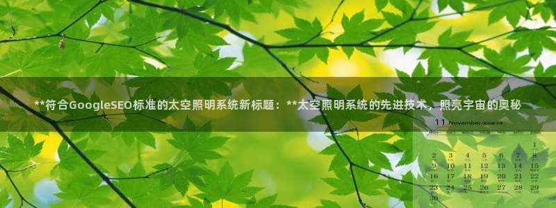 **符合GoogleSEO标准的太空照明系统新标题：**太空照明系统的先进技术，照亮宇宙的奥秘