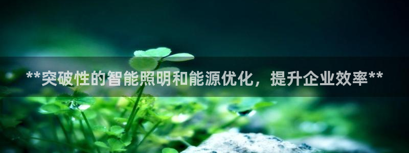 **突破性的智能照明和能源优化，提升企业效率**