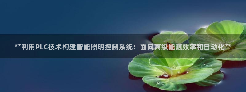 **利用PLC技术构建智能照明控制系统:面向高级能源效率和自动化**
