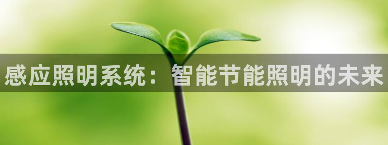 感应照明系统：智能节能照明的未来
