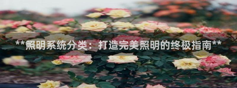 **照明系统分类：打造完美照明的终极指南**